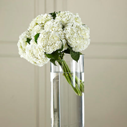 White Hydrangea Hand-Tied Bouquet –  Special Occasion By Ora, Independence LA