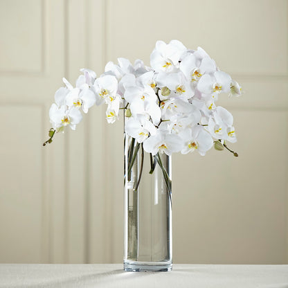 White Phalaenopsis Bouquet –  Special Occasion By Ora, Independence LA