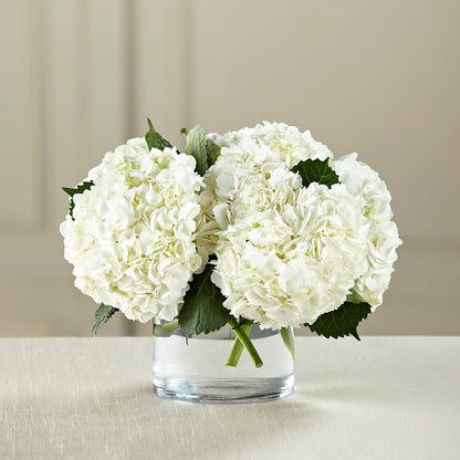 White Hydrangea Bouquet –  Special Occasion By Ora, Independence LA